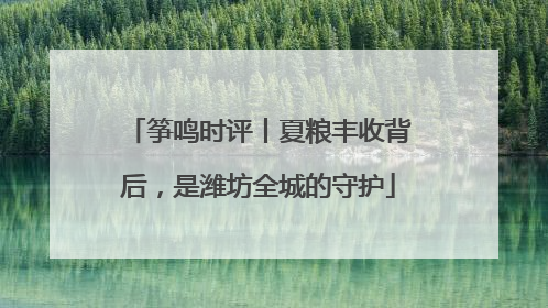 筝鸣时评丨夏粮丰收背后，是潍坊全城的守护