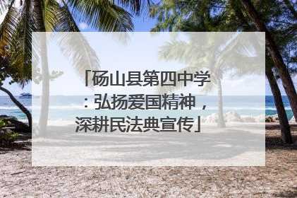 砀山县第四中学：弘扬爱国精神，深耕民法典宣传