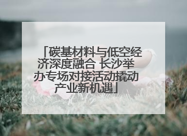 碳基材料与低空经济深度融合 长沙举办专场对接活动撬动产业新机遇