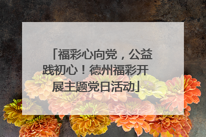 福彩心向党，公益践初心！德州福彩开展主题党日活动