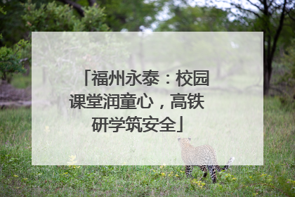 福州永泰：校园课堂润童心，高铁研学筑安全