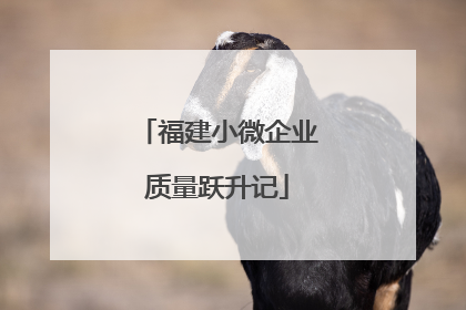 福建小微企业质量跃升记