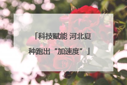 科技赋能 河北夏种跑出“加速度”