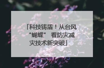 科技铸盾！从台风“蝴蝶” 看防灾减灾技术新突破