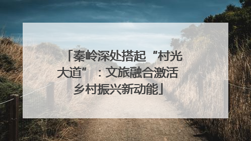 秦岭深处搭起“村光大道”：文旅融合激活乡村振兴新动能