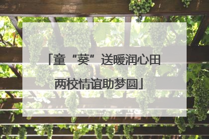 童“葵”送暖润心田 两校情谊助梦圆