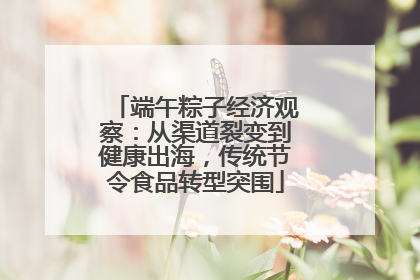 端午粽子经济观察：从渠道裂变到健康出海，传统节令食品转型突围