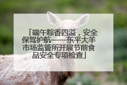 端午粽香四溢，安全保驾护航——东平大羊市场监管所开展节前食品安全专项检查