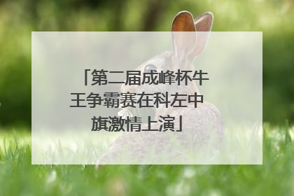 第二届成峰杯牛王争霸赛在科左中旗激情上演