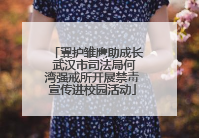 翼护雏鹰助成长 武汉市司法局何湾强戒所开展禁毒宣传进校园活动