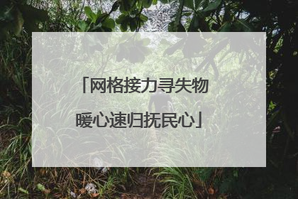 网格接力寻失物 暖心速归抚民心