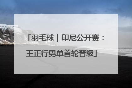羽毛球｜印尼公开赛：王正行男单首轮晋级