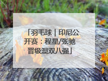 羽毛球｜印尼公开赛：程星/张驰晋级混双八强