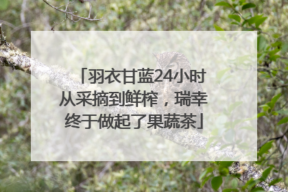 羽衣甘蓝24小时从采摘到鲜榨，瑞幸终于做起了果蔬茶