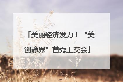 美丽经济发力！“美创静界”首秀上交会