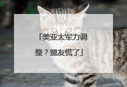 美亚太军力调整？盟友慌了