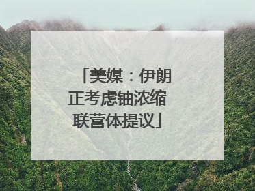 美媒：伊朗正考虑铀浓缩联营体提议