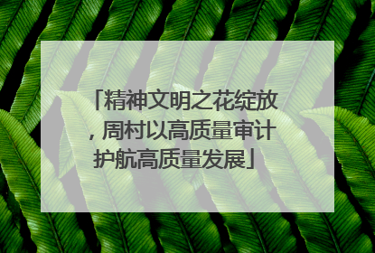精神文明之花绽放，周村以高质量审计护航高质量发展