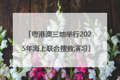 粤港澳三地举行2025年海上联合搜救演习