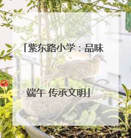 紫东路小学：品味端午 传承文明