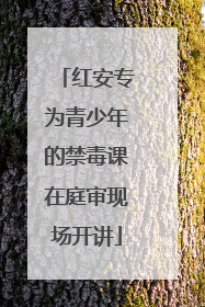 红安专为青少年的禁毒课在庭审现场开讲