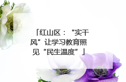 红山区：“实干风”让学习教育照见“民生温度”