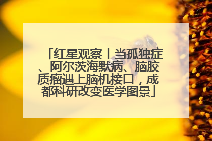 红星观察丨当孤独症、阿尔茨海默病、脑胶质瘤遇上脑机接口，成都科研改变医学图景