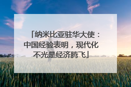 纳米比亚驻华大使：中国经验表明，现代化不光是经济腾飞