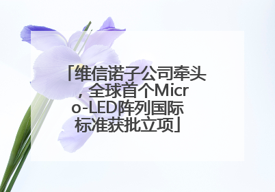 维信诺子公司牵头，全球首个Micro-LED阵列国际标准获批立项