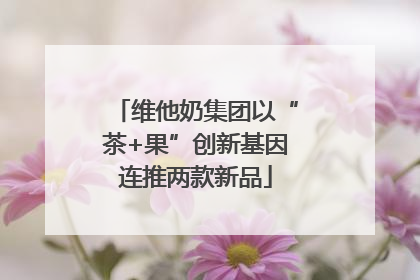 维他奶集团以“茶+果”创新基因连推两款新品