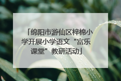 绵阳市游仙区梓棉小学开展小学语文“富乐课堂”教研活动