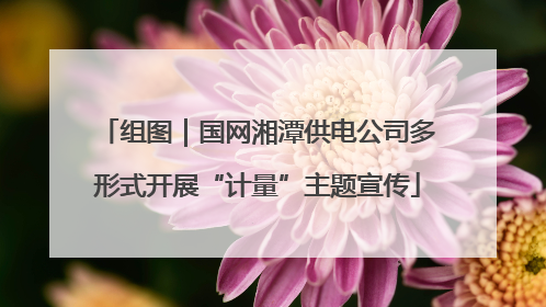 组图｜国网湘潭供电公司多形式开展“计量”主题宣传