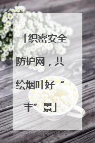 织密安全防护网，共绘烟叶好“丰”景