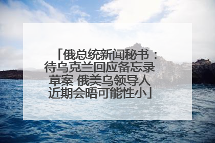 俄总统新闻秘书：待乌克兰回应备忘录草案 俄美乌领导人近期会晤可能性小