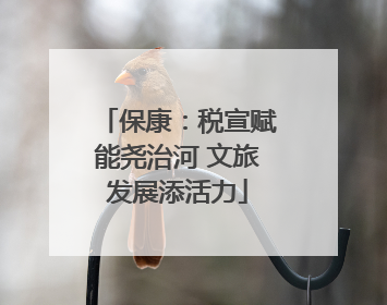 保康：税宣赋能尧治河 文旅发展添活力