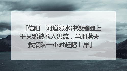 信阳一河道涨水冲毁鹅圈上千只鹅被卷入洪流，当地蓝天救援队一小时赶鹅上岸