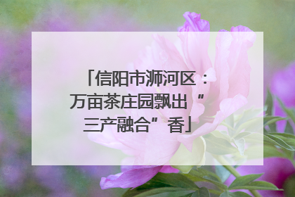 信阳市浉河区：万亩茶庄园飘出“三产融合”香