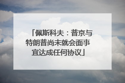 佩斯科夫：普京与特朗普尚未就会面事宜达成任何协议