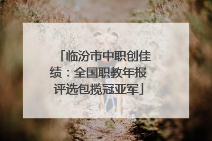 临汾市中职创佳绩：全国职教年报评选包揽冠亚军