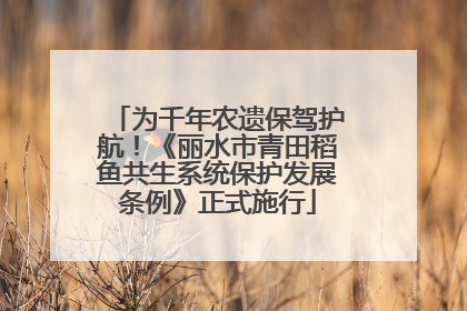 为千年农遗保驾护航！《丽水市青田稻鱼共生系统保护发展条例》正式施行