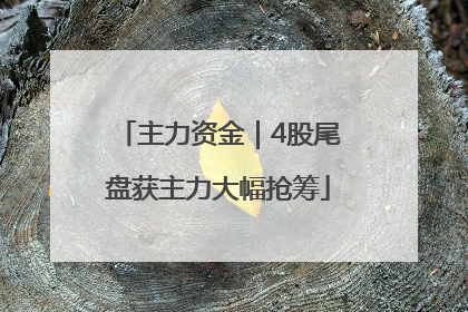 主力资金｜4股尾盘获主力大幅抢筹
