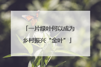 一片绿叶何以成为乡村振兴“金叶”