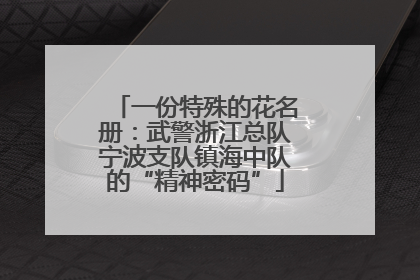 一份特殊的花名册：武警浙江总队宁波支队镇海中队的“精神密码”