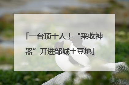一台顶十人！“采收神器”开进邹城土豆地