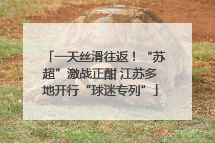 一天丝滑往返！“苏超”激战正酣 江苏多地开行“球迷专列”