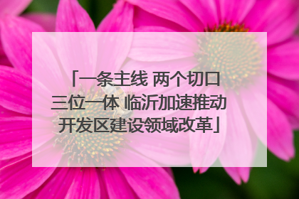 一条主线 两个切口 三位一体 临沂加速推动开发区建设领域改革