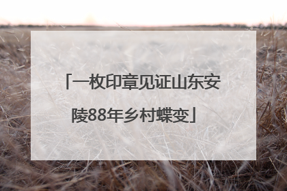 一枚印章见证山东安陵88年乡村蝶变