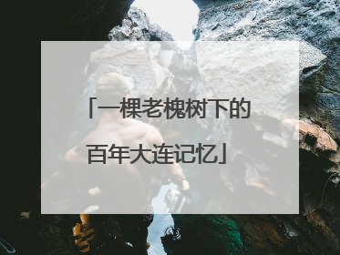 一棵老槐树下的百年大连记忆