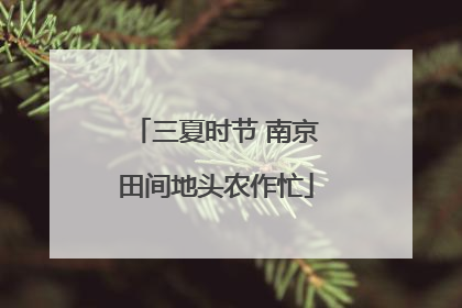 三夏时节 南京田间地头农作忙