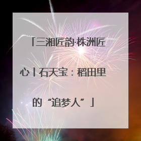 三湘匠韵·株洲匠心丨石天宝：稻田里的“追梦人”